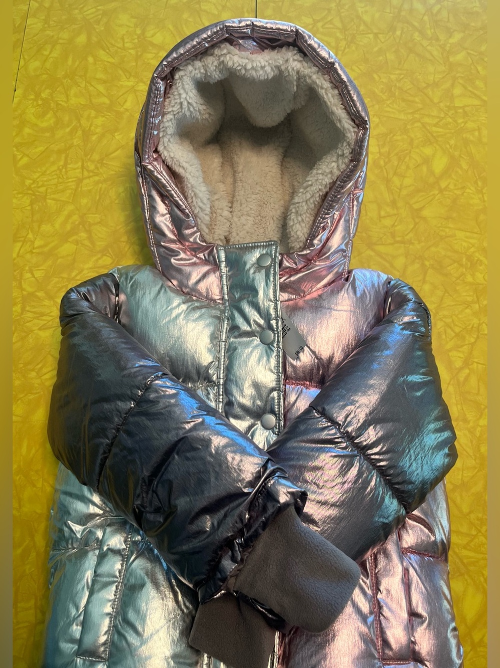 NWT Baby Gap Puffy Coat